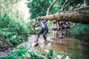 BIB: 
                            <button type="button" onclick="openModal(25514752)" class="btn btn-primary btn-sm float-right btn-popup" data-toggle="modal" data-target=".modal-high-quality">
                        <i class="fas fa-shopping-cart"></i> Add to Cart
                    </button>
                                            <button type="button" onclick="isThisMe(25514752, true)" class="btn btn-success btn-sm float-right btn-popup btn-isme hidden" data-toggle="tooltip" data-placement="bottom" title="นี่คือรูปของคุณใช่ไหม คลิกที่นี่เพื่อเอาเข้าอัลบั้ม">
                        <i class="fas fa-plus"></i> Add to album
                    </button>
                    <button type="button" onclick="isThisMe(25514752, false)" class="btn btn-warning btn-sm float-right btn-popup btn-isnotme hidden">
                        <i class="fas fa-ban"></i> Remove from album
                    </button>